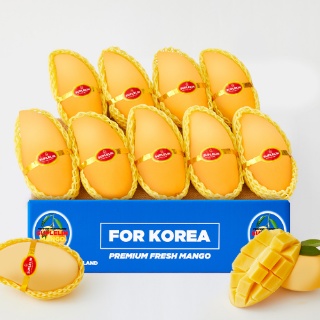 에이원컴퍼니 공동구매 브랜드